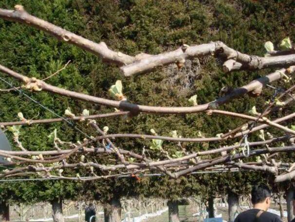 1720081608918835.jpg QQ截圖20240704160506.jpg